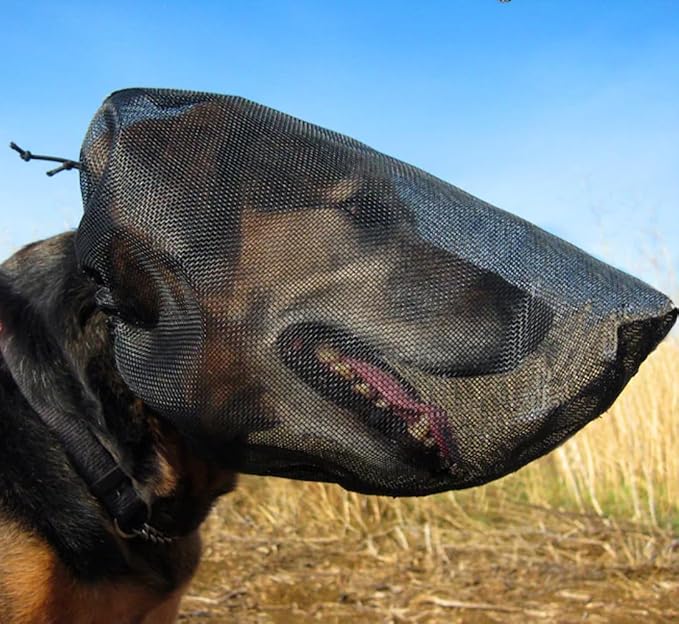 🐶 Breathable Dog Hood Set – Comfort, Protection Style for Your Furry Friend