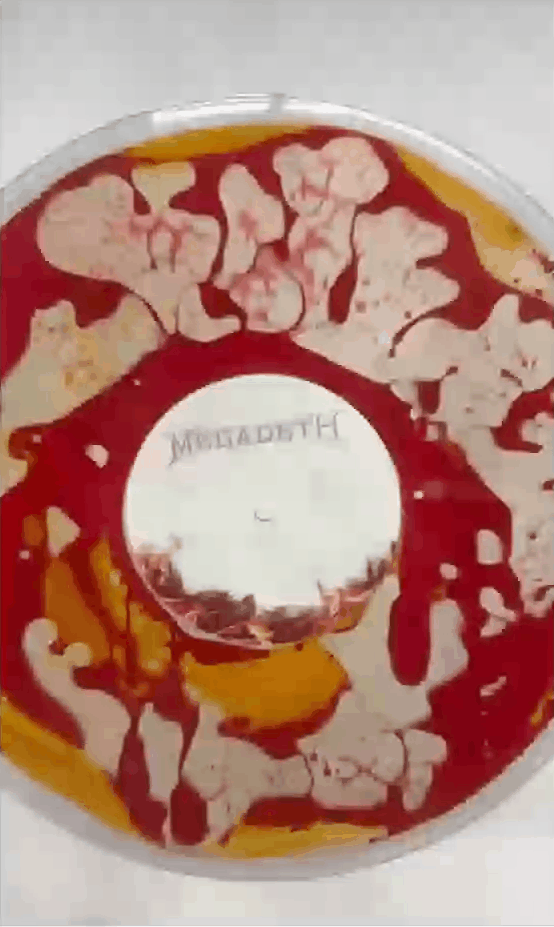 Megadeth - Cremains (Guitar Ash-Filled Deluxe 2LP)