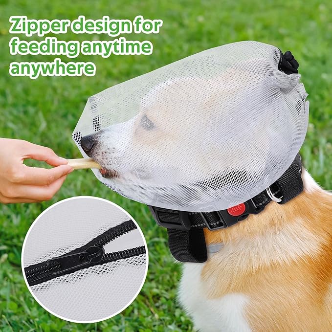 🐶 Breathable Dog Hood Set – Comfort, Protection Style for Your Furry Friend