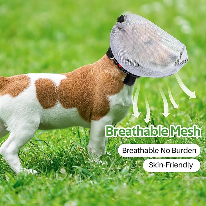 🐶 Breathable Dog Hood Set – Comfort, Protection Style for Your Furry Friend