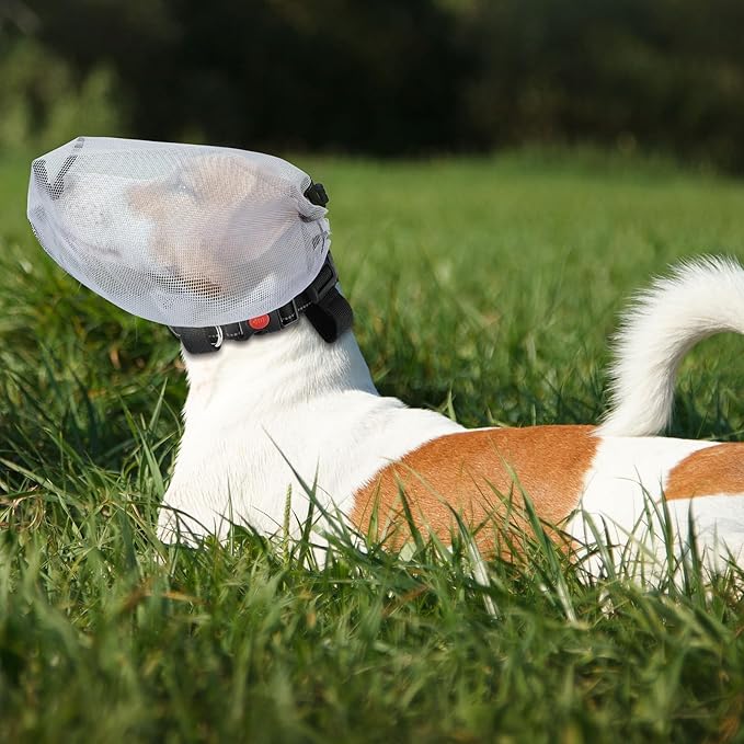 🐶 Breathable Dog Hood Set – Comfort, Protection Style for Your Furry Friend